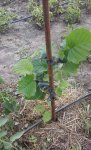 20170715_141806.jpg