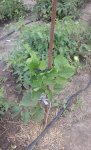 20170715_142021.jpg