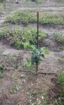 20170715_142054.jpg