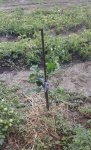 20170715_142102.jpg
