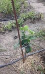 20170715_142039.jpg