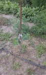 20170715_142115.jpg