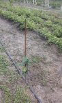 20170715_142136.jpg