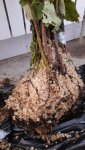 IMG-20171018-WA0030.jpg