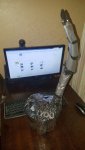 20171026_002742.jpg