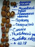 Фундуки_Ивантиевка.jpg