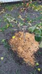 20171103_152023.jpg