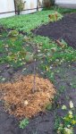 20171103_151938.jpg