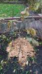 20171103_153223.jpg