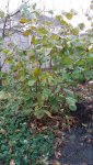 20171103_152056.jpg