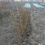 Без имени-2.jpg