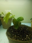 IMG_20170909_021026.jpg