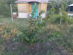 IMG_20180922_183136.jpg
