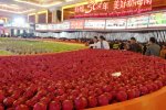 Winter Trade Fair.jpg