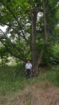 SAM_0805.JPG