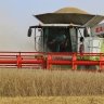 Claas-forum Com